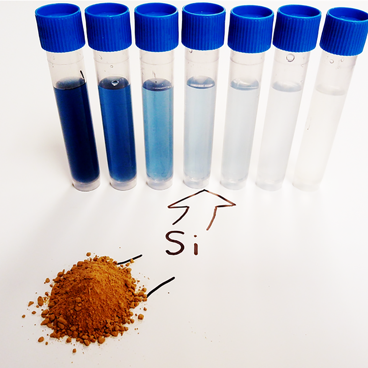 Color development due to increasing Si concentrations in the molybdate blue method for analyzing monomeric silicic acid. Photo courtesy of Matt Limmer.