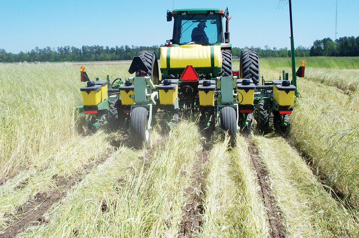 Planting corn into rye residue under conservation tillage. Photo courtesy of Jeff Novak, USDA-ARS.