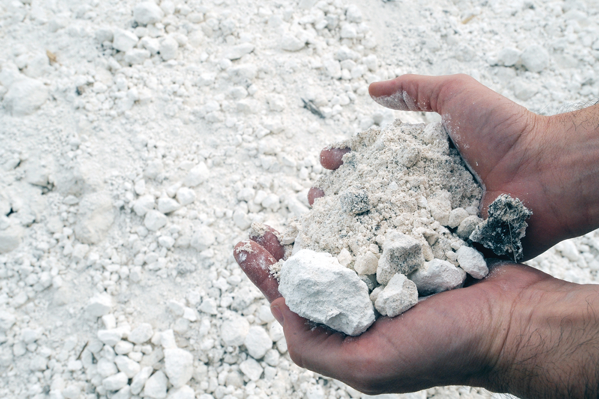 A new study aims to establish criteria for when to use gypsum instead of lime in no-till soils and to examine how gypsum might help root growth. Photo courtesy of Warren Dick.