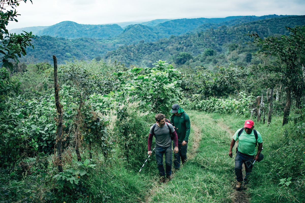 Researchers and farmers at a coffee farm in Yepocapa, Guatemala. Photo by Devon Barker.