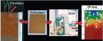 Illustration of the method developed for generation of a two-dimensional labile phosphorus map.