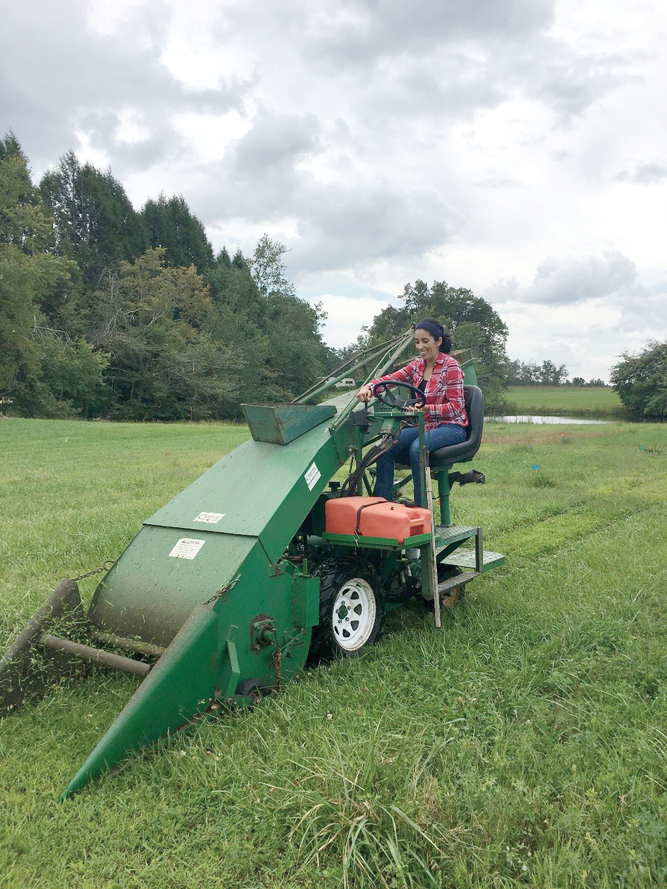 Carter forage harvester being used after forage mass harvest.