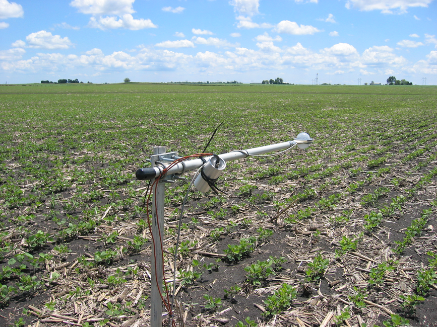Infrared radiometer monitoring surface temperatures in an Iowa soybean field in mid-June. Photo courtesy of Forrest Goodman.