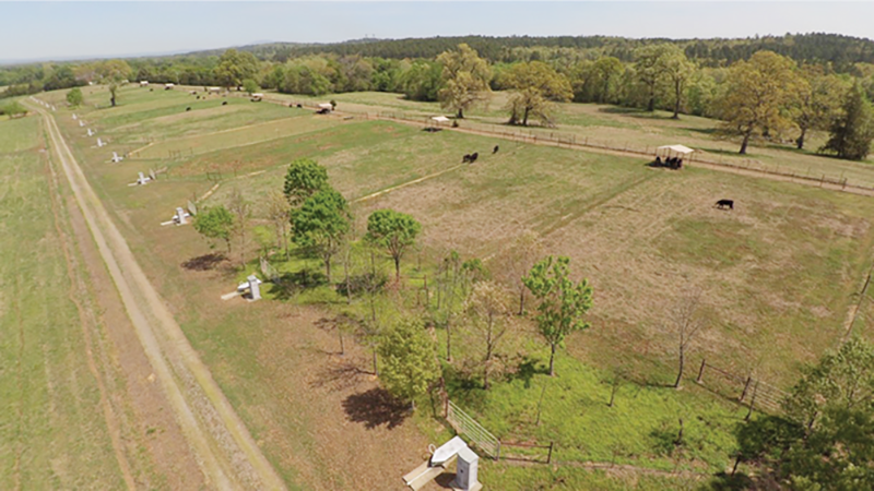 Cattle shade structures and waterer are at the top of the slope with flumes at the base of each watershed and auto samplers housed in adjacent sheds.