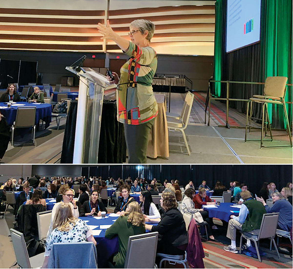 Marilyn Orr (top) leading a workshop at the 2019 ASA, CSSA, SSSA Annual Meeting in San Antonio.
