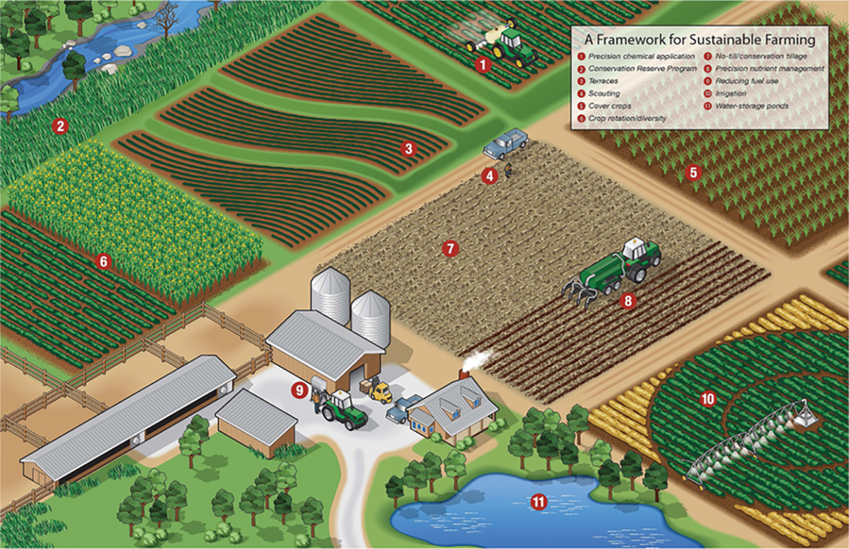 Illustration showing some potentially sustainable agronomic management practices. Source: United Soybean Board.