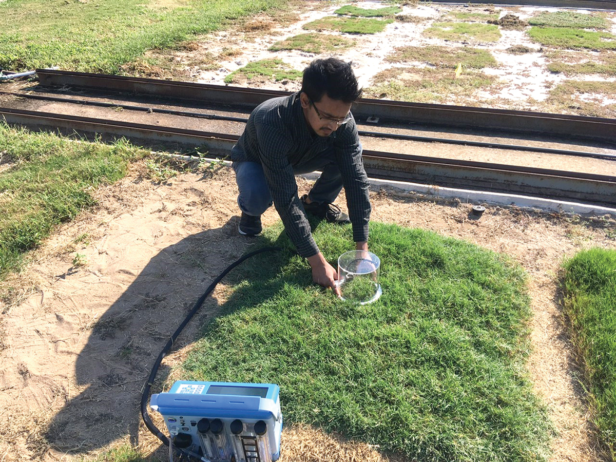 Ph.D. student Krishna Katuwal taking gas exchange measurements on turfgrass plants. Photo by Viktor Tishchenko.
