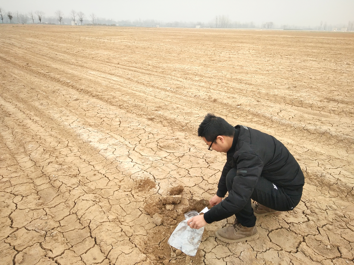 Co-author Kuo Huang collecting basic soil samples after overwintering and before ridging in a tobacco field. Photo courtesy of Yongqiang Zhang.