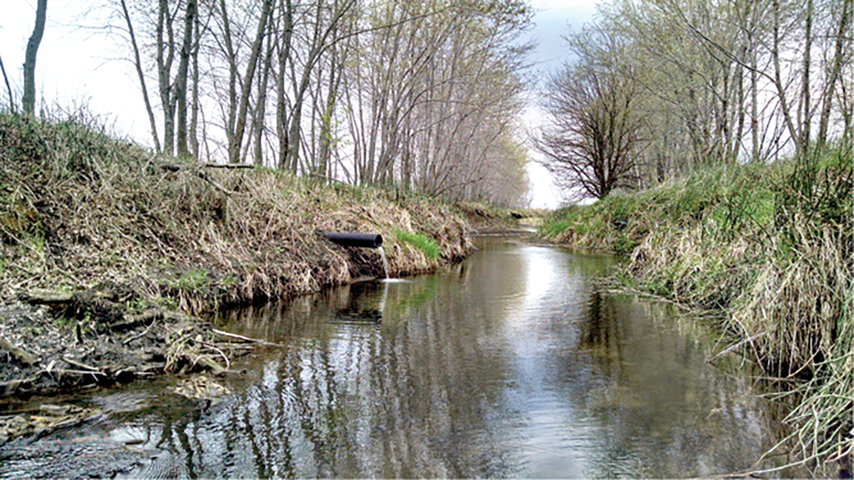 A tile draining excess water from adjacent farmland. This tile drainage water is a large contributor of nitrate to surface water bodies, especially in the agricultural Midwest. The treatment of this tile drainage water is one of the primary focal points for the Managing Denitrification in Agronomic Systems Community.