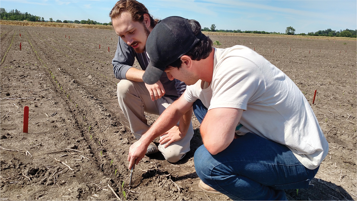 Levi Krepischi (foreground) and Kyle Nemergut (background) verifying planting depth. Photo by Alex Lindsey.