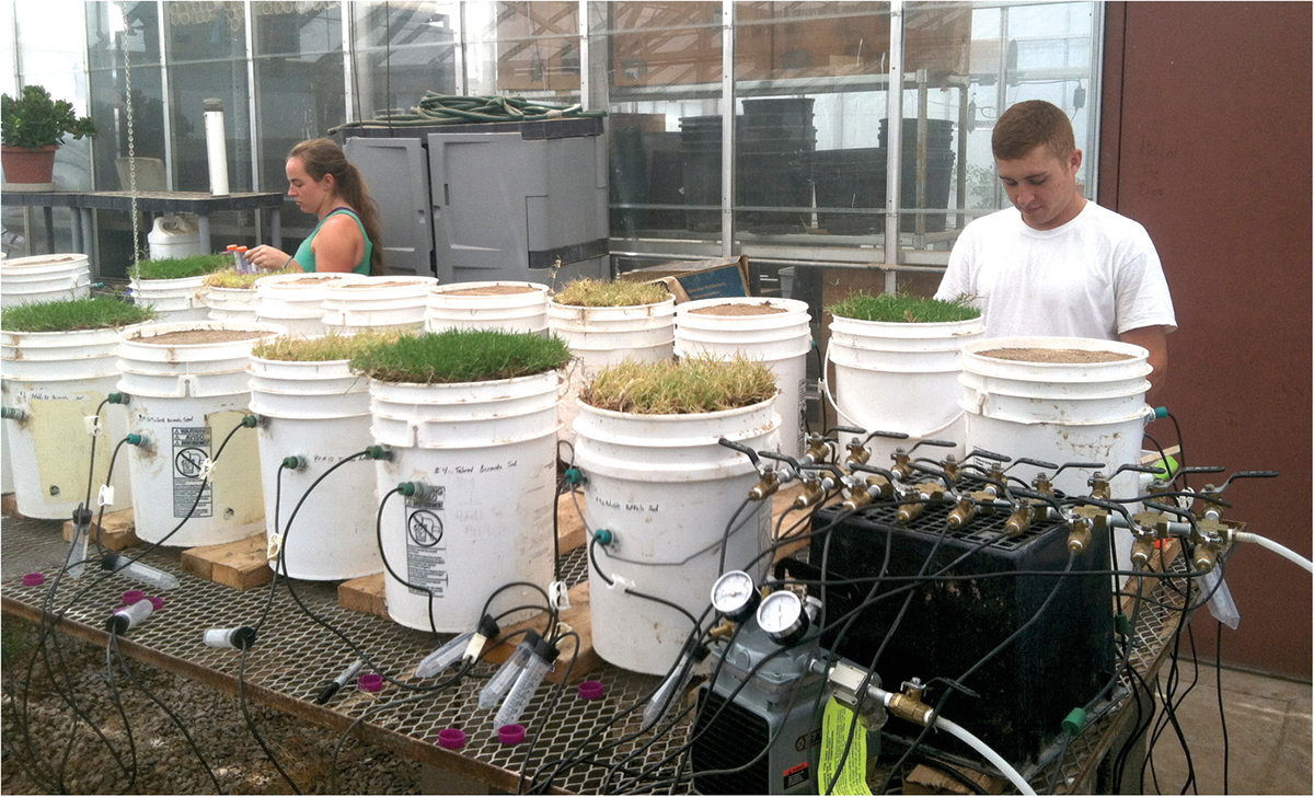 Undergraduate students Shavonne Stanek (left) and Shawn Lopez (right) collecting leachate from containers. Photo by Elena Sevostianova.