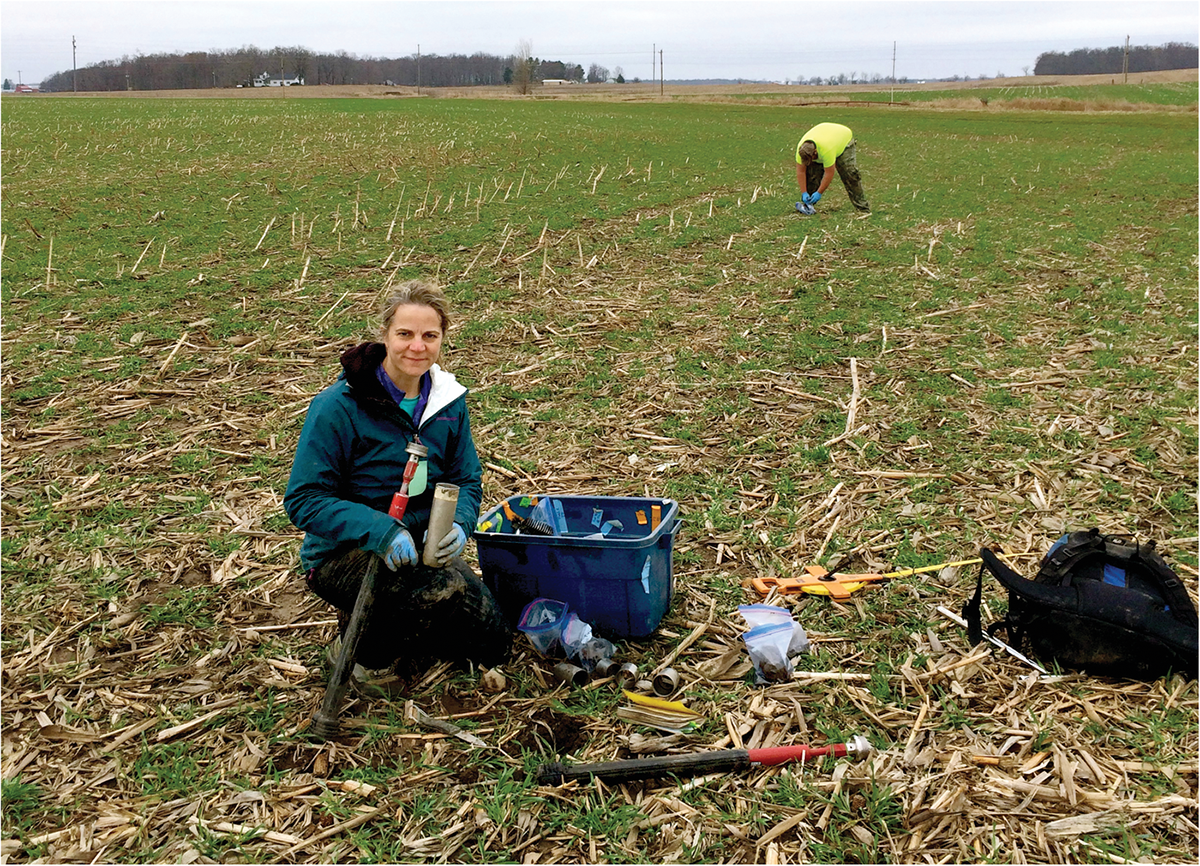 Dr. Sheila Christopher and her team taking soil and cover crop samples in northern Indiana. Photo by Kemal Gökkaya.