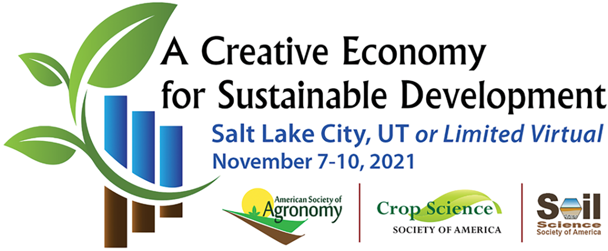 A Creative Economy for Sustainable Development