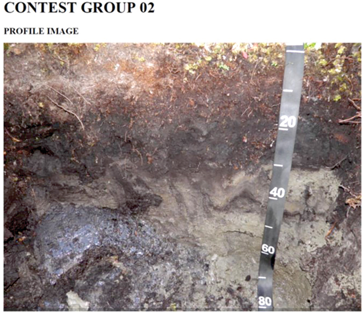 Soil pedon (Histoturbel) profile picture for Virtual National Soil-Judging Group Contest. Image courtesy of Nic Jelinski (University of Minnesota–Twin Cities).
