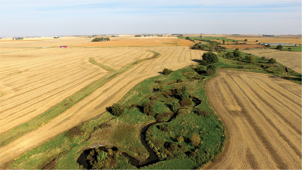 Prior to installation of a saturated riparian buffer. After the installation, the field on the left will include a strip of prairie plants between the field and the stream. Photo by Lynn Betts, USDA-NRCS.