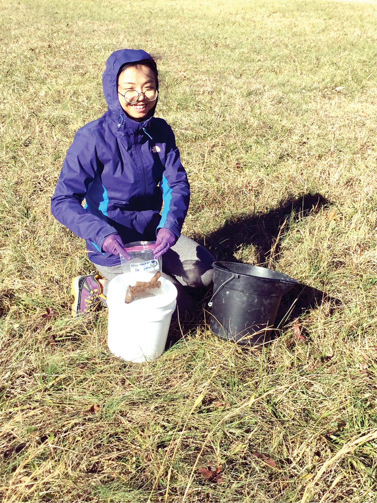 First author Xiuwen Li collecting soil samples for the laboratory experiment. Photo courtesy of the University of Tennessee Soil Management Lab.