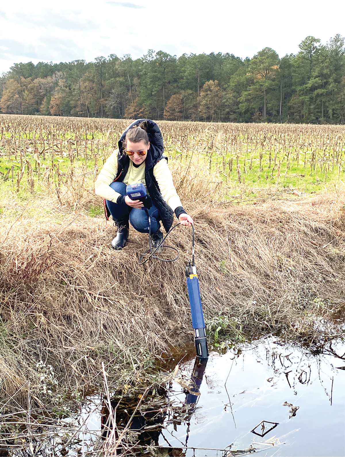 Sabrina Klick, first author of the article, taking water temperature, oxidation-reduction potential, pH, and dissolved oxygen metrics from water in an agricultural drainage ditch. Photo by Joseph Haymaker.