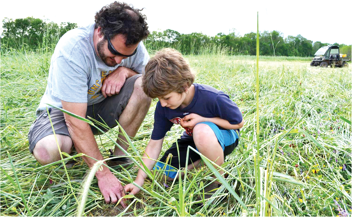 A recent commentary in Agricultural & Environmental Letters argues for a future of farming based on agroecological principles. This farmer has adopted more ecologically relevant farming practices, and his son will now know much more of what to expect in the future. Photo by Alan Franzluebbers.