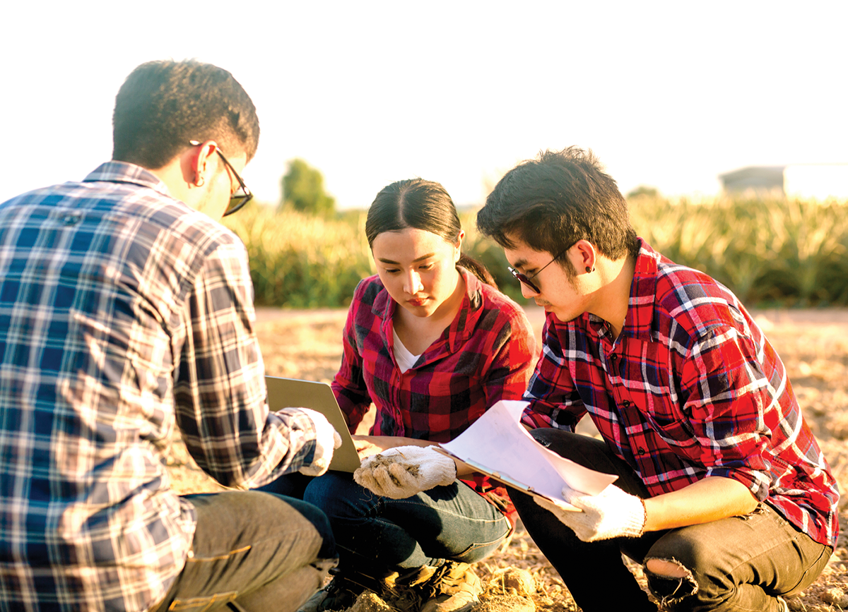 Source: Adobe Stock/Pop Sujinun.