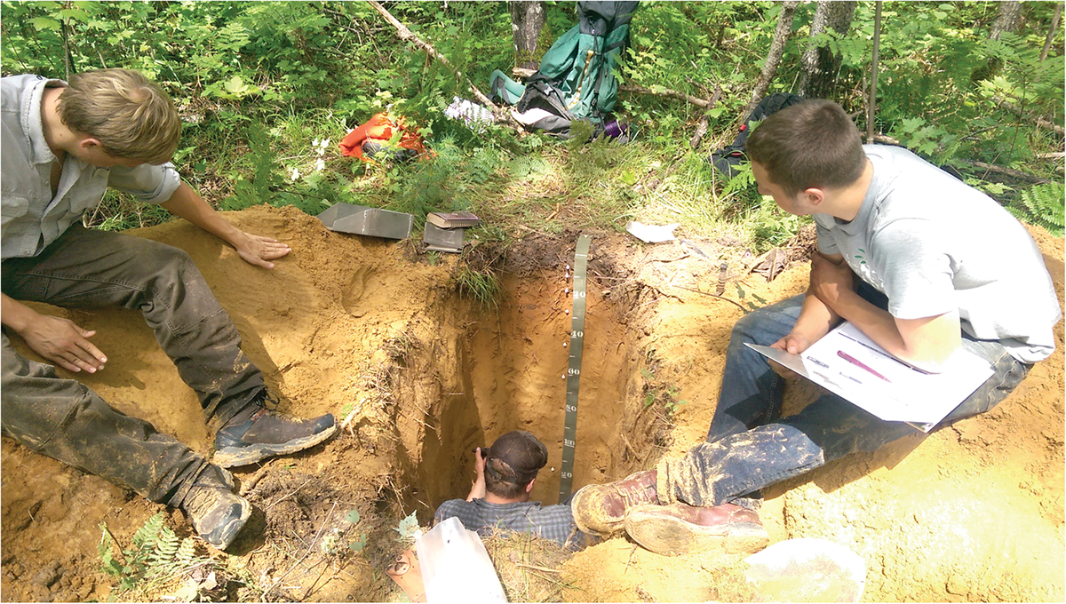 Researchers collecting soil pedons with USDA-NRCS soil scientists to increase the available information for sandy outwash soils, which are abundant as public forest land due to the low fertility of the soils. Photo by Robert Richard.