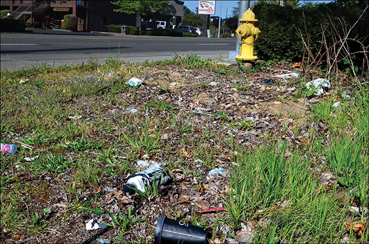Plastic waste along a roadside. Discarded plastic bottles and cups will ultimately break down into micro- and nanoplastics and accumulate in the soil. Photo by Markus Flury.