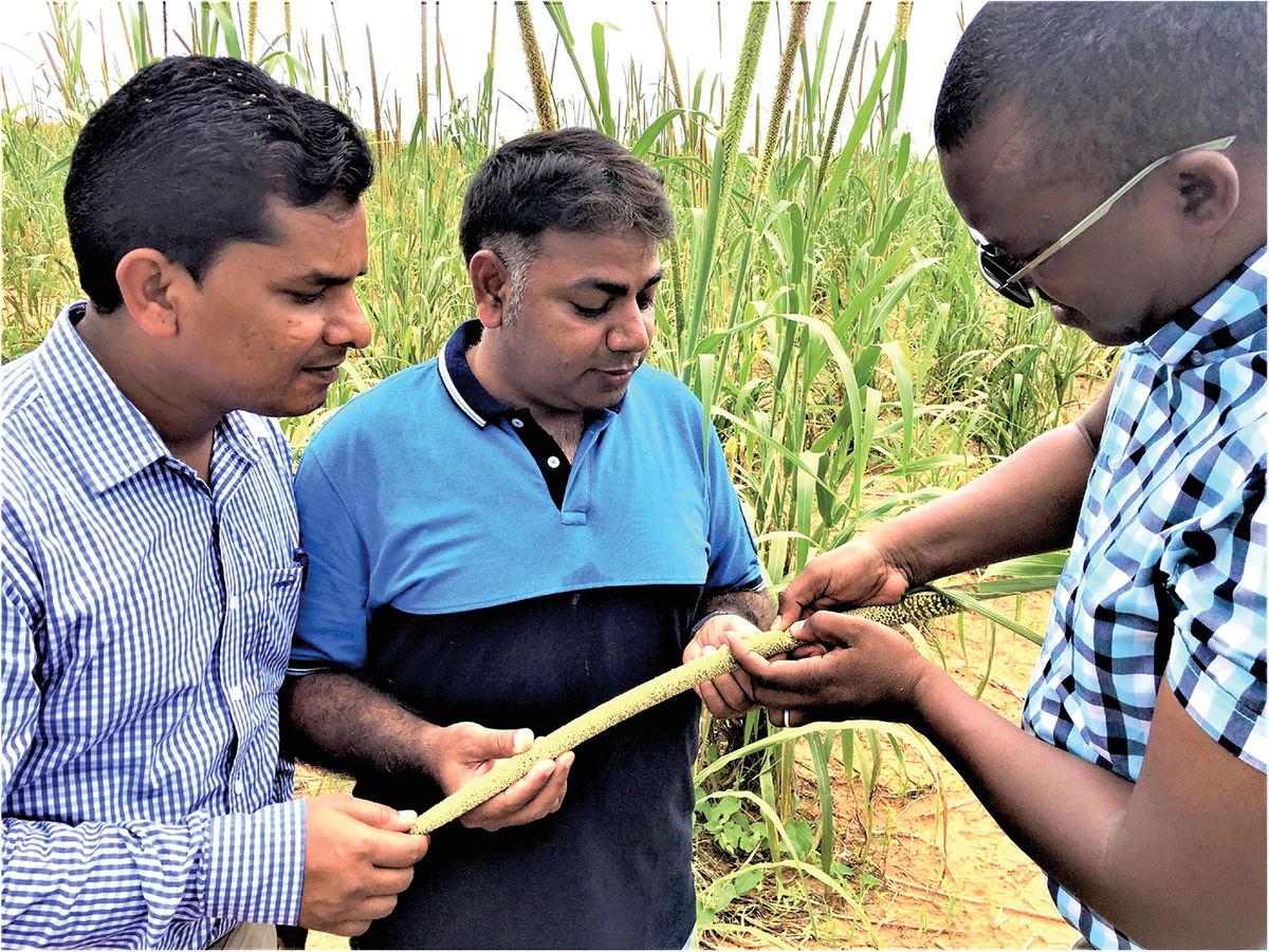 Co-author Rajeev Varshney (center) observing a pearl millet panicle and discussing crop productivity with colleagues during a field visit to Sadore, Niamey, Niger. Photo by Nilesh Mishra, ICRISAT.