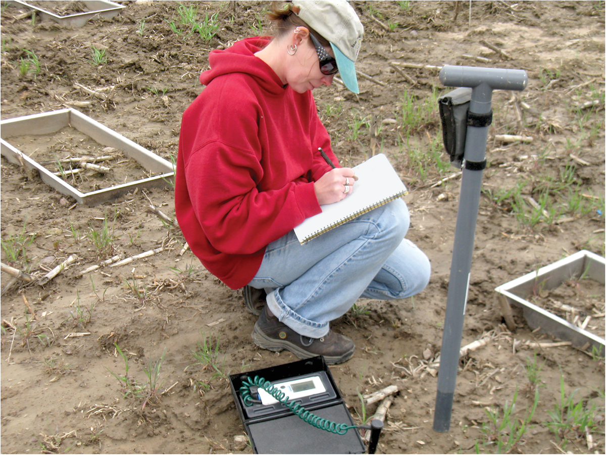 Jessica Sherman taking notes in the research field plots. Photo by William Jokela.