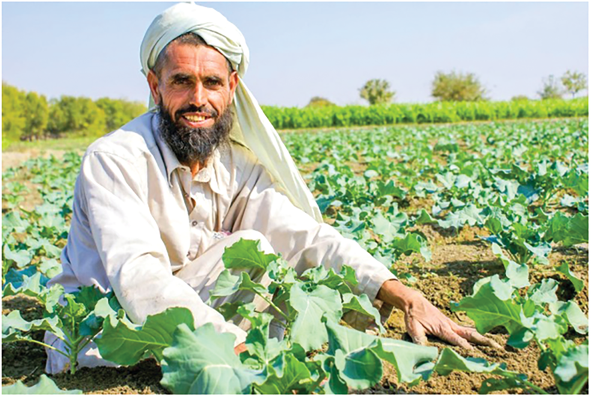 Individuals living outside of North American will now how have a greater opportunity to become certified through the ICCA Program. Photo courtesy of USAID/Afghanistan.