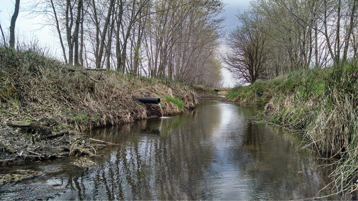 Some of the most highly cited papers in the Journal of Environmental Quality have revolved around nitrogen or phosphorus losses to surface or groundwater and the resulting outcomes. Photo courtesy of Tyler Groh.