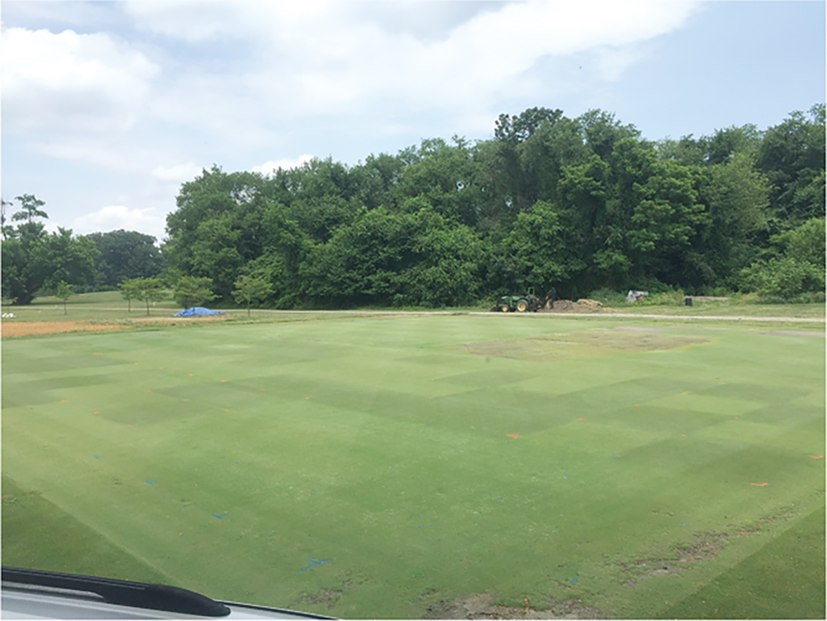 Field application of various rates of ferrous sulfate to creeping bentgrass maintained as a golf putting green. Photo by Camden Shelton.