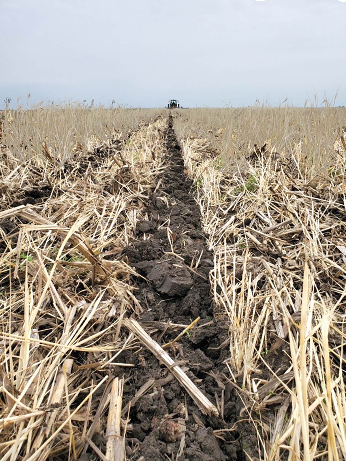 One idea that is gaining considerable traction with both private industry and policymakers is that of offering producers payment for carbon sequestration practices. This photo, courtesy of Rajveer Sing, shows a no-tillage planter drilling corn seed with minimal soil disturbance into the previous year’s cover crop residue.