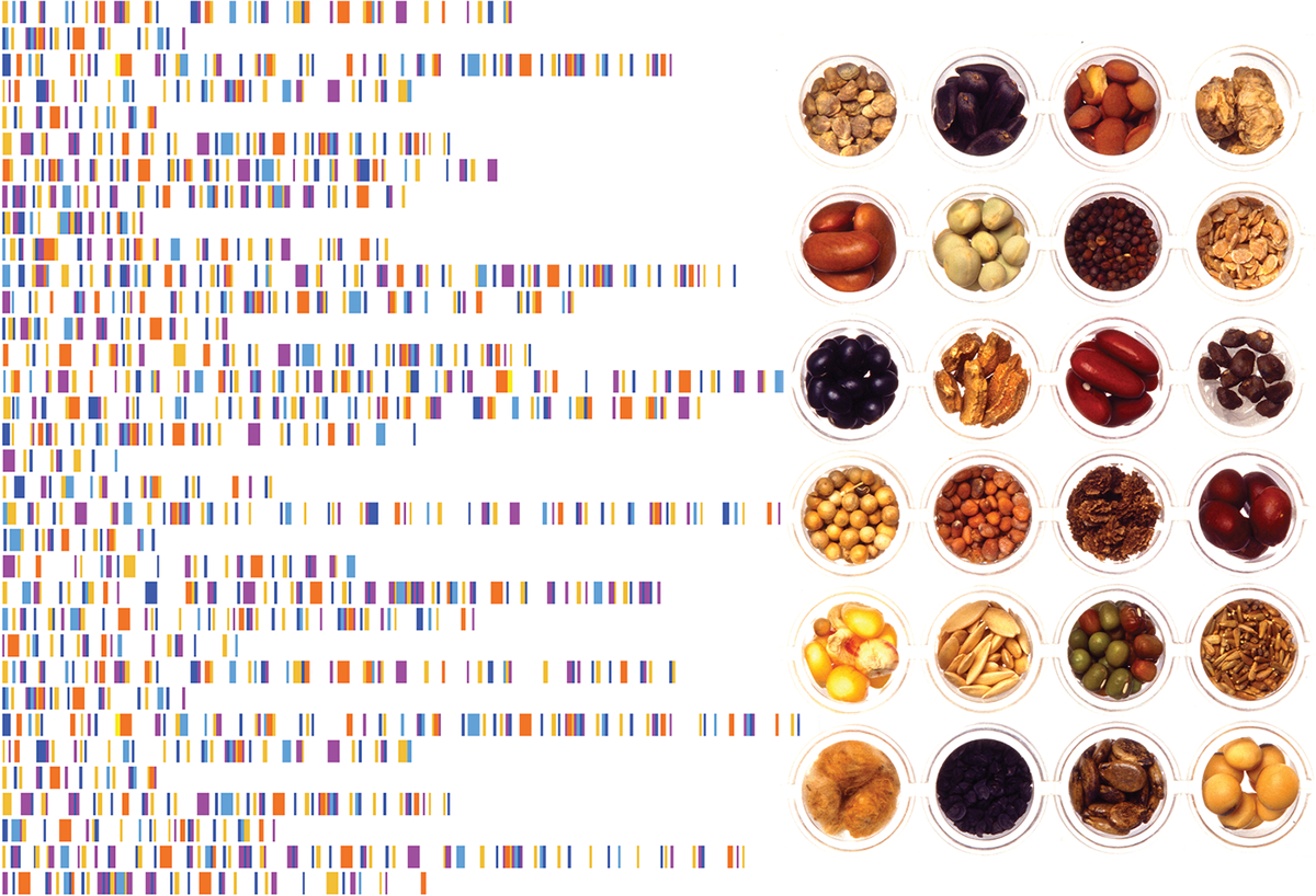 Source: Adobe Stock/yepifanovahelen and USDA-ARS.