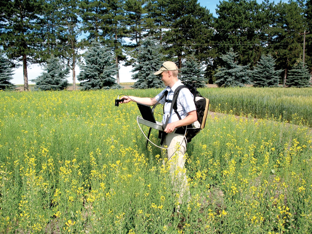 Remote-sensing scientist John Sulik uses a high-spectral-resolution sensor to record hundreds of wavelengths of light to understand which combinations are most effective for estimating the number of flowers per square meter and final seed yield. Photo courtesy of the USDA-ARS Columbia Plateau Conservation Research Station in Adams, OR.