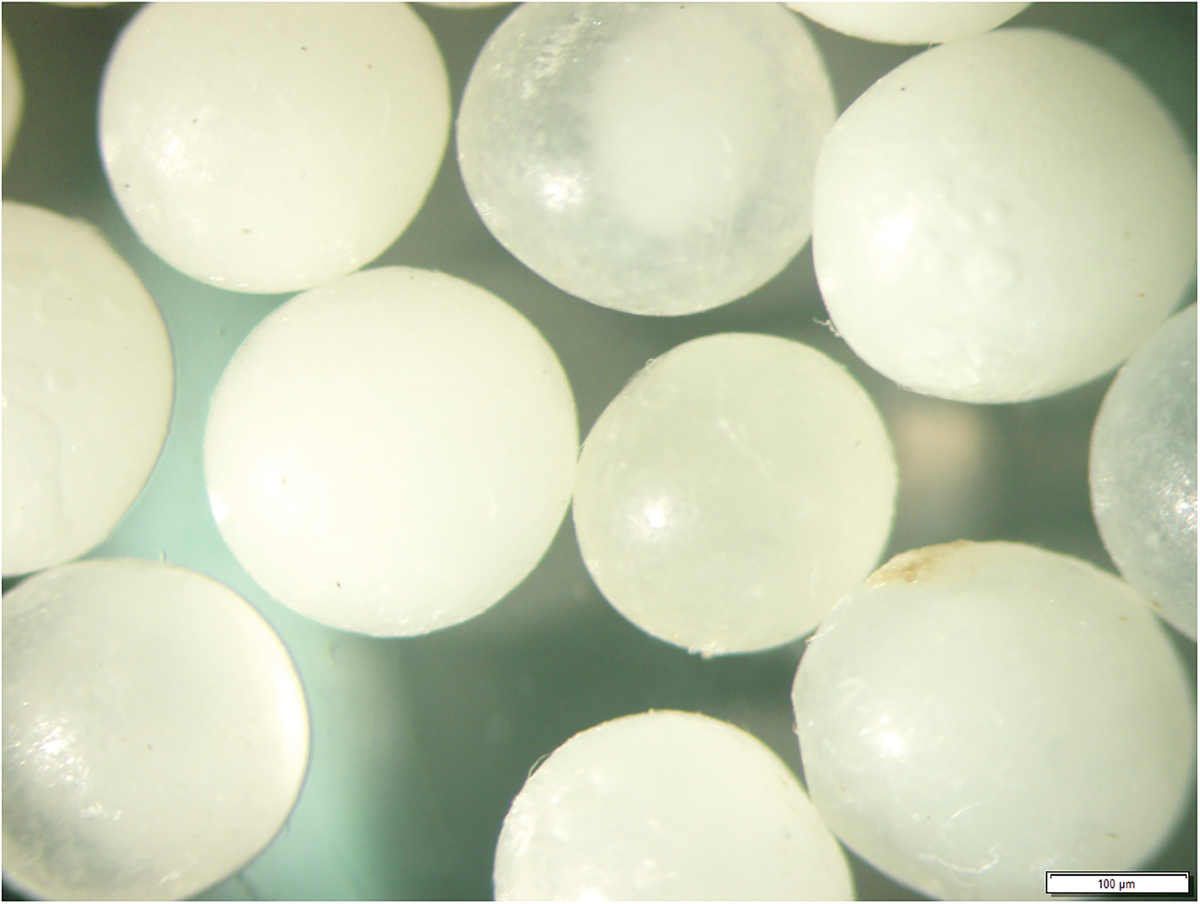 Using microscopy to characterise the release stage of controlled-release fertilizers helped explain the effect of soil water on nitrogen release, highlighting the strengths of collaborating across disciplines. Photo by J.M. Poole.