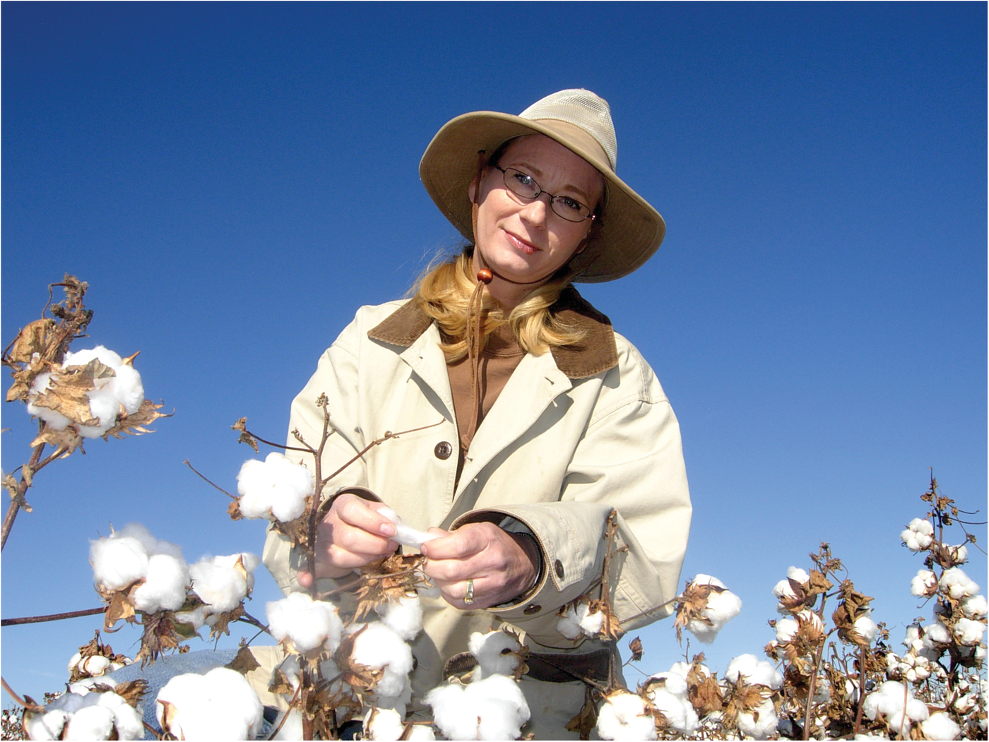 Dr. Jane Dever, project leader and cotton breeder at the Texas A&M AgriLife Research Center. Photo by Mark Arnold.