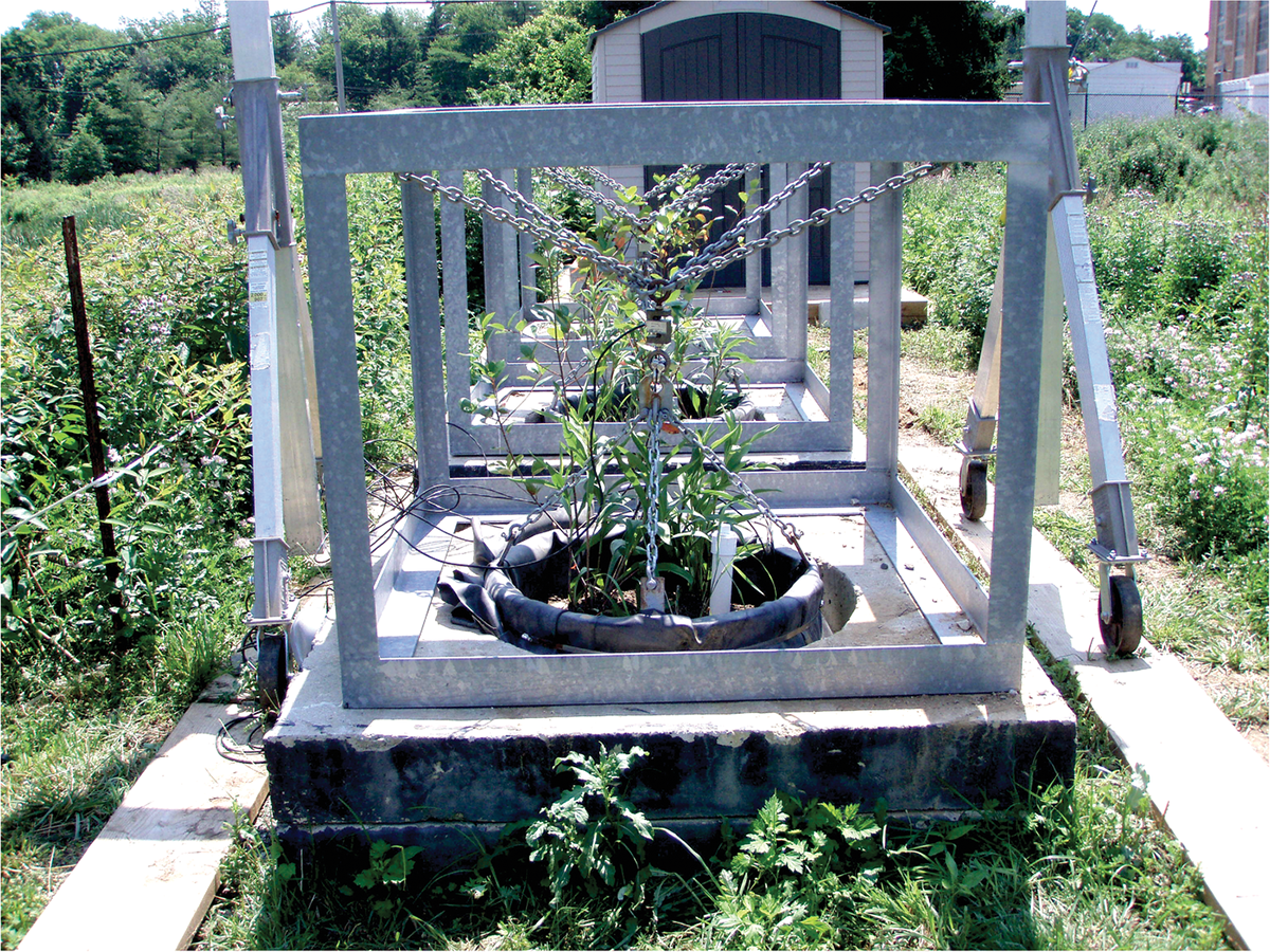 Research site where three side-by-side rain garden lysimeters are studied at Villanova University. A lysimeter measures the mass balance of the system such that evapotranspiration can be calculated.