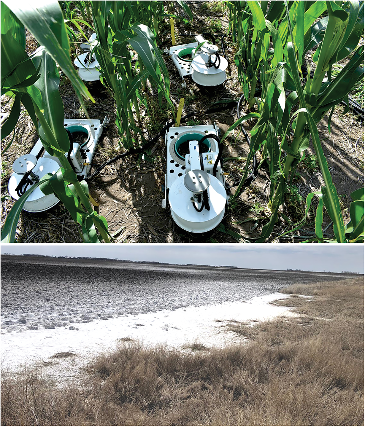 Top: Chambers for taking greenhouse gas measurements in the field. Bottom: That’s not snow—it’s salt. Some areas on the righthand side of this photo are starting to look a bit better after four years. Photos courtesy of Sharon Clay.