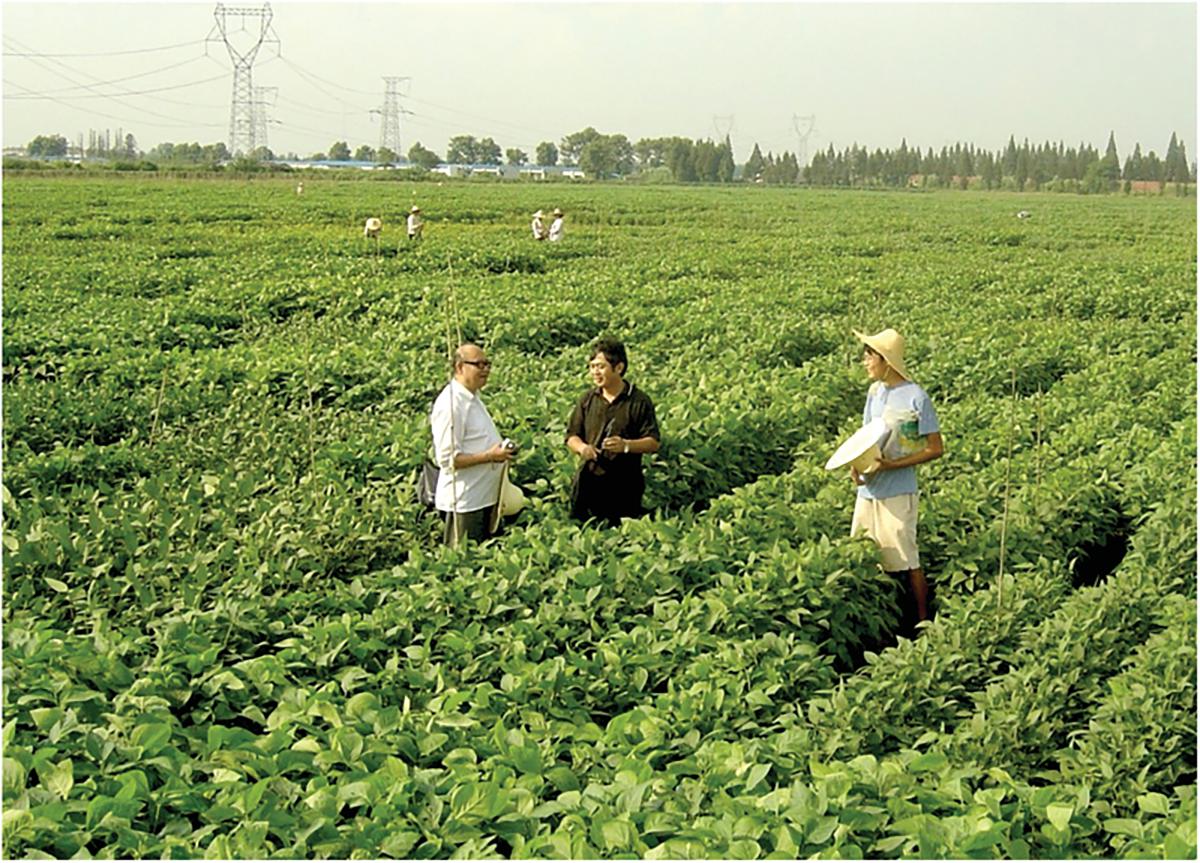 The germplasm nursery at the Jianpu Experimental Station of Nanjing Agricultural University, Nanjing, China. Photo by J.X. Qiu.
