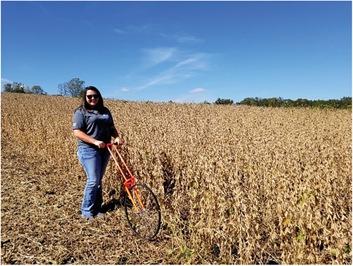 County Extension Agent Laura Elmore measures a yield contest plot for the North Carolina Soybean Yield Contest. Photo by Jenny Carleo.