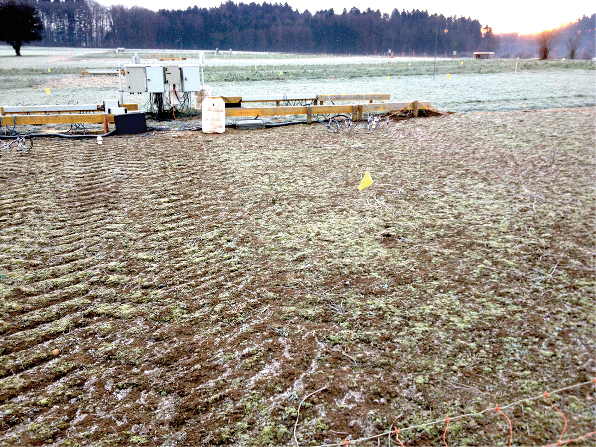 Bare soil treatment nearly two years after a compaction event with clearly visible tire lug pattern imprints in the compacted plot on the left side. Photo by Thomas Keller.