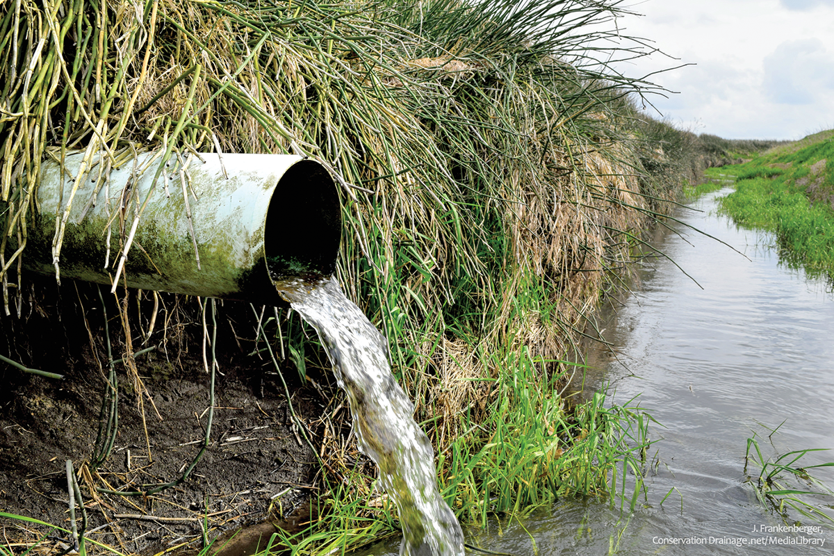 A tile drain flowing in Indiana. Photo by Jane Frankenberger.