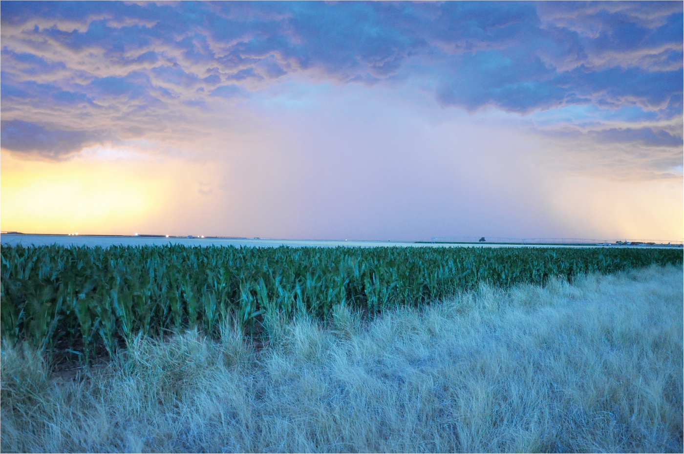 Photo by Paramveer Singh.