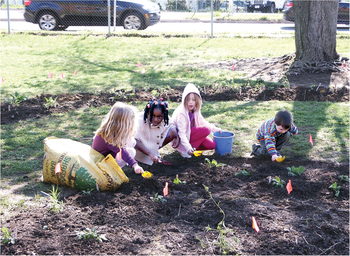 A collaboration of scientists and the general public led to a study that looked at the risk of exposure to heavy metals that children face in preschool gardens and play areas. Photo by Robert H. Pos/USFWS.