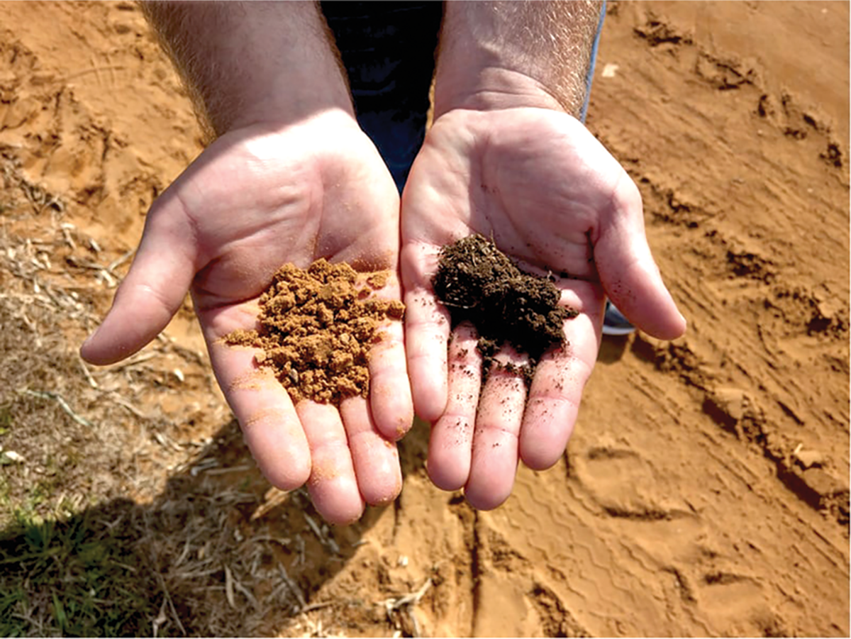 Climate-smart agriculture refers to practices that will reduce greenhouse gas emissions and/or sequester soil carbon. The color difference between the two soils is due to no-till adoption on the right, which resulted the the capture of more carbon. Photo by Vitor Rampazzo Favoretto.