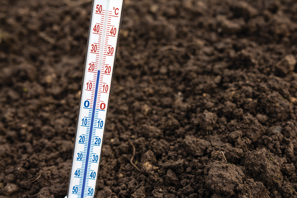 Photo courtesy of Adobe Stock/shintartanya.