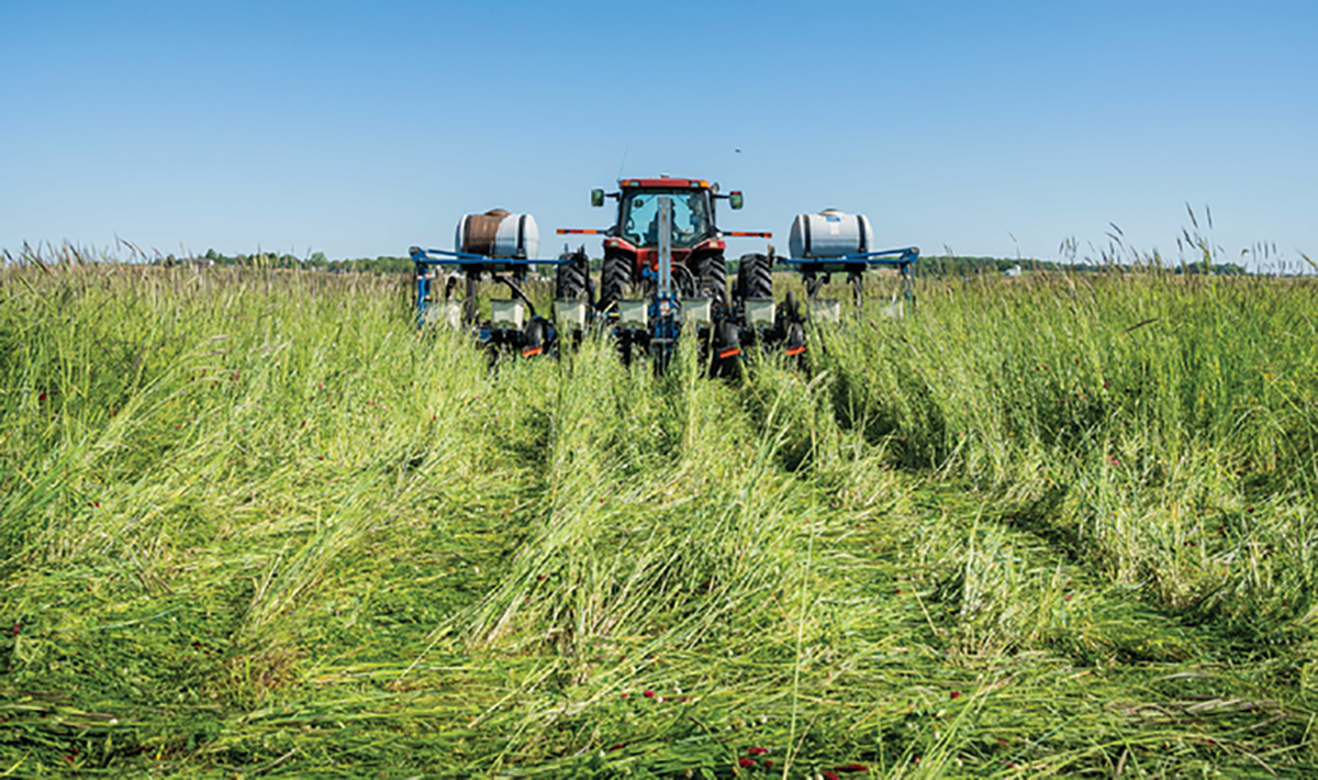 An Indiana farmer “plants green,” seeding corn directly into a 12-way cover crop mix. Photo by Brandon O'Connor, Indiana NRCS.