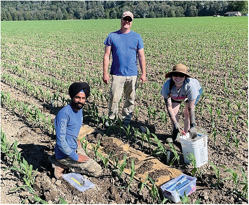 Lead author Navdeep Singh (left), Edward James Scheenstra, and Alexis Leigh Perez collect soil samples for texture analysis at a grower's field having controlled drainage and subirrigation infrastructure. Photo courtesy of Gabriel T. LaHue.