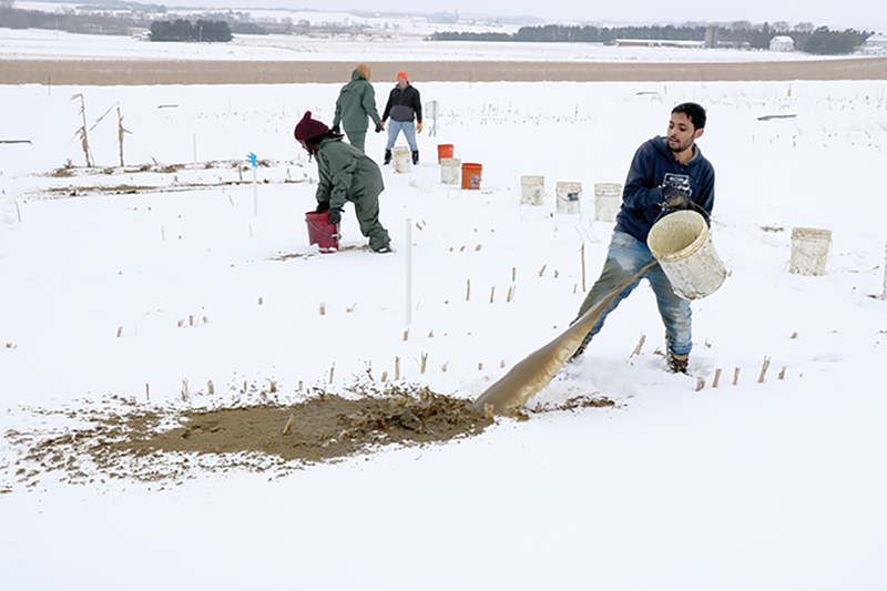 Laxmi R. Prasad (foreground), a postdoctoral research associate at the University of Wisconsin–Madison and first author on the study, applies dairy manure on snow-covered frozen soil at the University of Wisconsin Arlington Agricultural Research Station to study runoff nutrient losses. Photo by Rachel Johnson and Edward Boswell.
