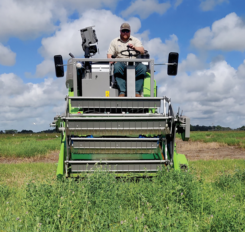Forage accumulation in this study was assessed by harvesting the entire plot at a 10-cm stubble height, and botanical composition was performed manually to estimate the proportion of alfalfa, bermudagrass, and weed components in each plot. Photo by Esteban Rios.