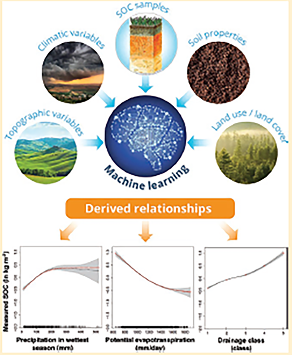 Machine learning to derive predictive relationships between environmental factors and soil organic carbon stocks. Image by Brent Haglund, Sandia National Laboratories.